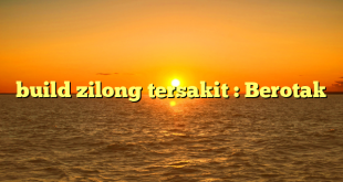 build zilong tersakit : Berotak