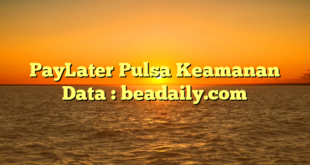 PayLater Pulsa Keamanan Data : beadaily.com