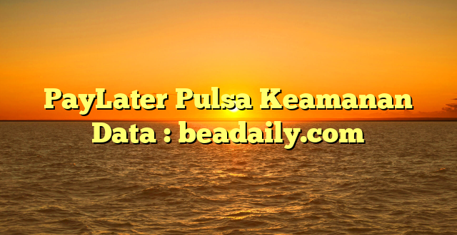 PayLater Pulsa Keamanan Data : beadaily.com